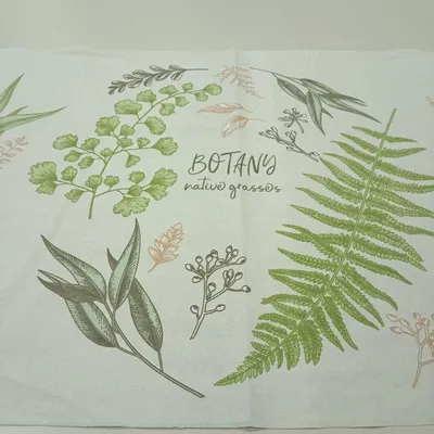 Rare Plant Market | Botanika Hamm | Plant with Roos - YouTube