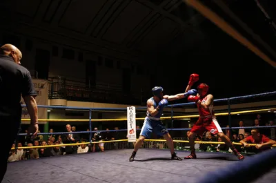 Inside 'white-collar' boxing: the craze that turned fatal