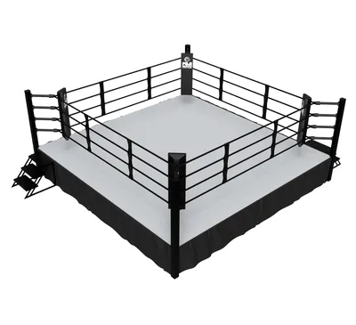 Elevated Boxing Ring – FUJI Mats