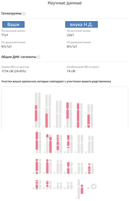 ЙОШКАР-ОЛА | Бизнес, торговые центры, ритeйл | Page 46 | SkyscraperCity  Forum