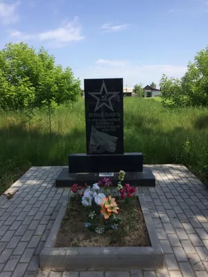 Купить дом в деревне Ольховке в Жуковском районе в Брянской области — 10  объявлений о продаже загородных домов на МирКвартир с ценами и фото