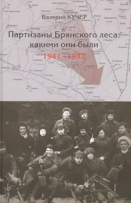 Цыганский барон\" - крупная спецоперация вермахта против брянских партизан |  История Онлайн Второй Мировой | Дзен