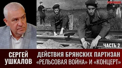 Партизаны Брянского леса: какими они были 1941-1943 - Кучер Валерий  Николаевич - Издательство Альфа-книга