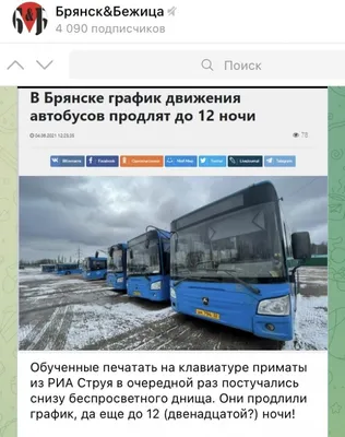 В День Победы брянцы устроили автопробег по партизанским местам - KP.RU