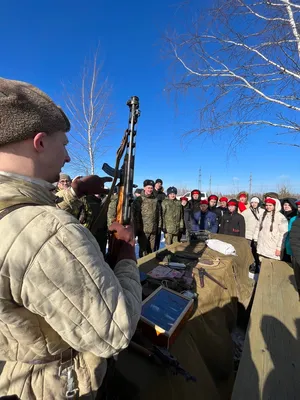 Под Брянском возле Партизанской поляны начали падать покрывшиеся ржавчиной  сосны | Брянские новости