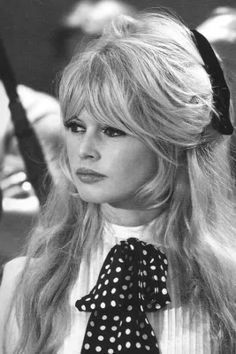 Бриджит Бардо (Brigitte Bardot) / смешные картинки и другие приколы:  комиксы, гиф анимация, видео, лучший интеллектуальный юмор.