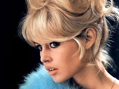 Бриджит Бардо (Brigitte Bardot) / смешные картинки и другие приколы:  комиксы, гиф анимация, видео, лучший интеллектуальный юмор.