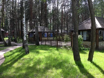 База отдыха «Бригантина» в Липецкой области - цены 2024, фото, отзывы