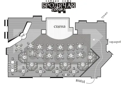 красивая бродячая собака на земле. ловля и стерилизация бродячих собак  Стоковое Фото - изображение насчитывающей земля, тротуар: 244908586