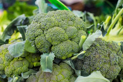 A Guide to Every Broccoli Type and How to Use Each One