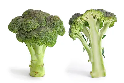 Top 14 Health Benefits of Broccoli