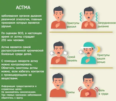 Бронхиальная астма и инфекции - купить здравоохранения, медицины в  интернет-магазинах, цены на Мегамаркет | 7082