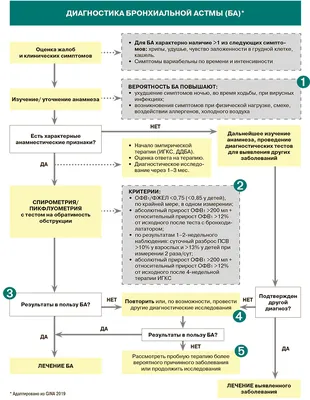 Бронхиальная астма - Феникс