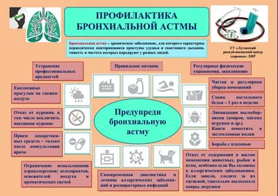 Бронхиальная астма и сопутствующие заболевания: в фокусе аллергический  ринит – тема научной статьи по клинической медицине читайте бесплатно текст  научно-исследовательской работы в электронной библиотеке КиберЛенинка