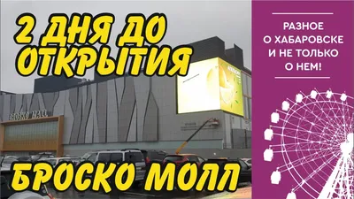 Дамбу возле «Броско Молла» в Хабаровске закончат строить весной 2022 года -  KP.RU