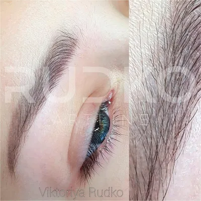 Фото бровей после перманентного макияжа с использованием техники hybrid brows