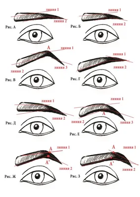 Как правильно сделать форму бровей?