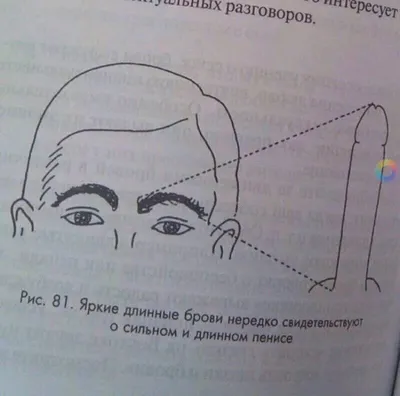 Полумесяцем бровь»: смешные фото девушек, брови которых вышли из-под  контроля - Рамблер/женский