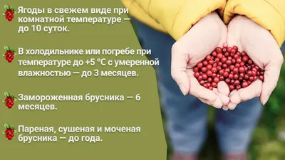 Брусника - Посадка, уход и польза | GreenMarket