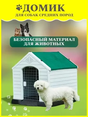 Вольер для собаки под ключ в Киеве: цена, фото | Арт Бастион