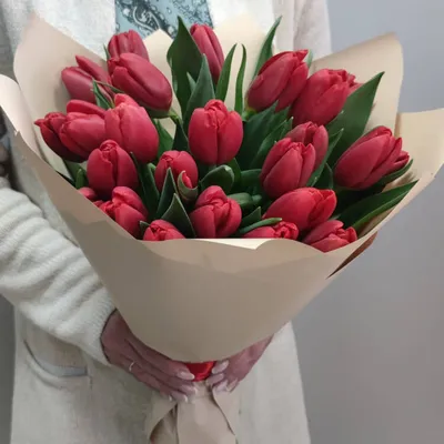 Bouquet of tulips,Букет тюльпанов | Красивые цветы, Цветы, Букет садовых роз