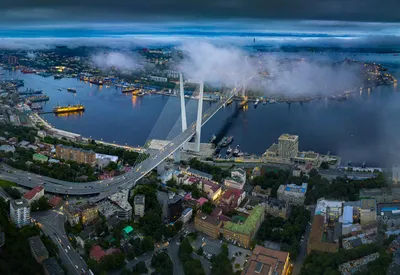 Бухта трепангов\" во Владивостоке уже давно не видела трепангов... |  Kreekate. Vsenauga | Дзен