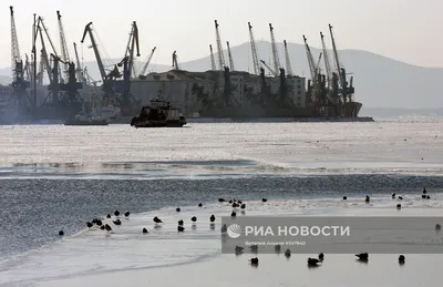 Фотография. Бухта Золотой рог,г. Владивосток | Государственный  музей-заповедник «Владивостокская крепость»