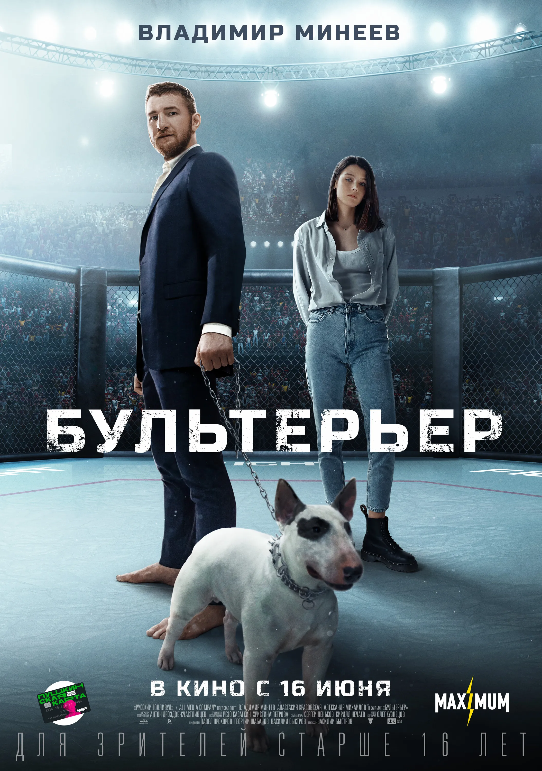 Миниатюрный бультерьер собака: фото, характер, описание породы Миниатюрный бультерьер собака: фото, характер, описание породы