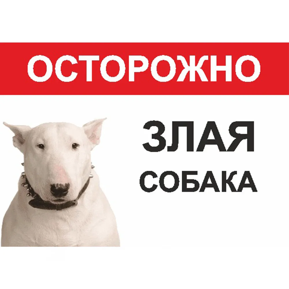 В России бультерьер чуть не растерзал детей возле школы | OBOZ.UA В России бультерьер чуть не растерзал детей возле школы | OBOZ.UA