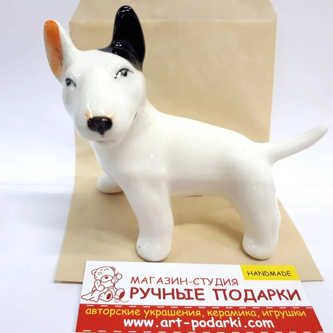Описание породы Бультерьер, внешние данные, особенности породы, дрессировка Описание породы Бультерьер, внешние данные, особенности породы, дрессировка