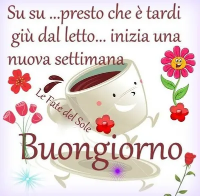 Bellissimo buongiorno a tutti (5) - BuongiornoATe.it | Buongiorno immagini,  Citazioni del giorno, Ringraziamenti di compleanno