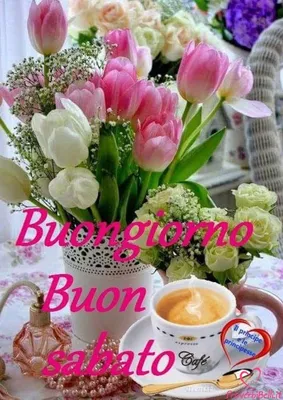 Buongiorno Sabato Belle Immagini per Whatsapp - ProverbiBelli.it |  Buongiorno sabato, Buon sabato, Buongiorno