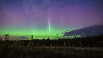 Ураган в Москве: Жуткие фотографии и видео из Сети