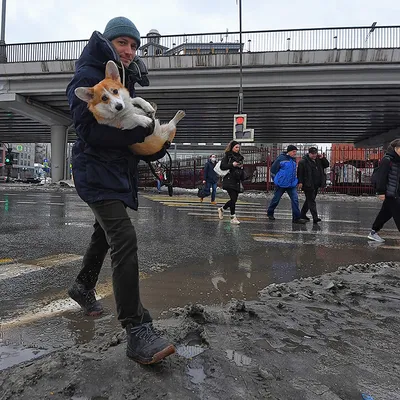 На Москву обрушился ураган, будь готов. Обновлено