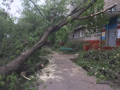 Таймлапс-видео: буря в Москве за 50 секунд — РТ на русском