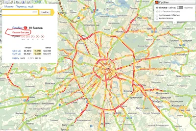 Ураган в Москве 19 сентября 2022, упавшие деревья в Москве - 20 сентября  2022 - msk1.ru