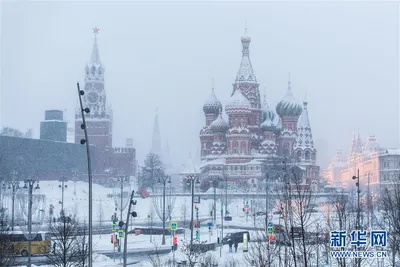 Последствия грандиозной бури в Москве: один человек погиб и более двадцати  пострадали - KP.RU