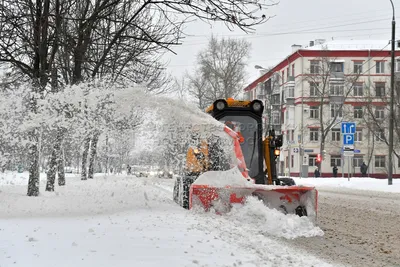 Какая погода будет в Москве и других городах в выходные