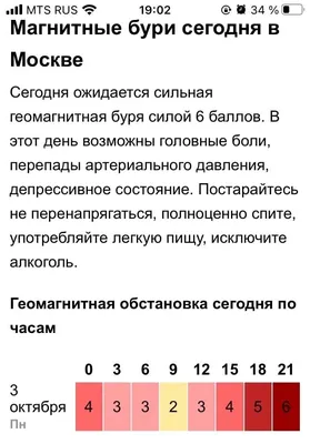 Погода в Москве в первую неделю 2024 года бьет рекорды — Сноб