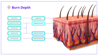 First-degree burn: Treatment, symptoms, and pictures