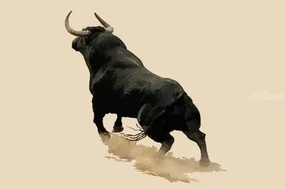 Running Bull, 2022 Wall Art, Canvas Prints, Framed Prints, Wall Peels |  Great Big Canvas