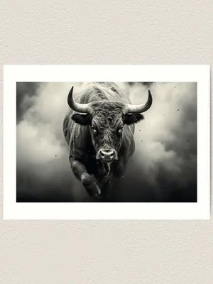 Wall Art Print | Bull skull | Abposters.com