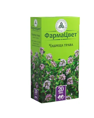 Чабрец: польза растения, вред, описание, свойства и противопоказания для  организма