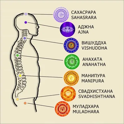 Чакры человека - Йога Харьков