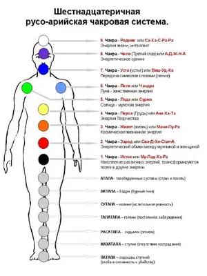 Клуб осознанного здоровья - ЧАКРЫ И СТИХИИ 🕉Муладхара-чакра Муладхара-чакра  — центр обеспечения жизненных потребностей физического тела. Наличие этой  чакры в энергетической структуре человека обусловлено самим фактом  воплощения сущности на Земле ...