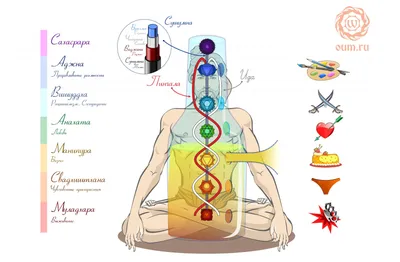 Реальны ли чакры? — Эрос и Космос