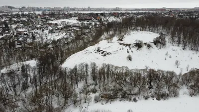 ЧАШИН КУРГАН - Брянская областная научная универсальная библиотека им. Ф.  И. Тютчева