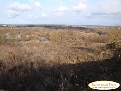 Городище \"Чашин курган\". Остатки земляного вала. Фото