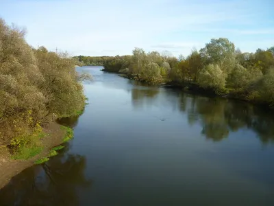 Городище \"Чашин курган\". Место основания Брянска. Фото