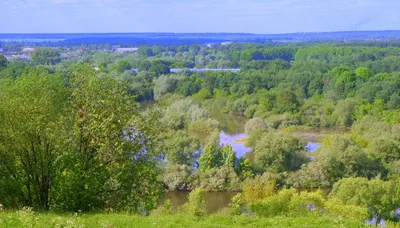 Брянск: Чашин курган и курган Бессмертия